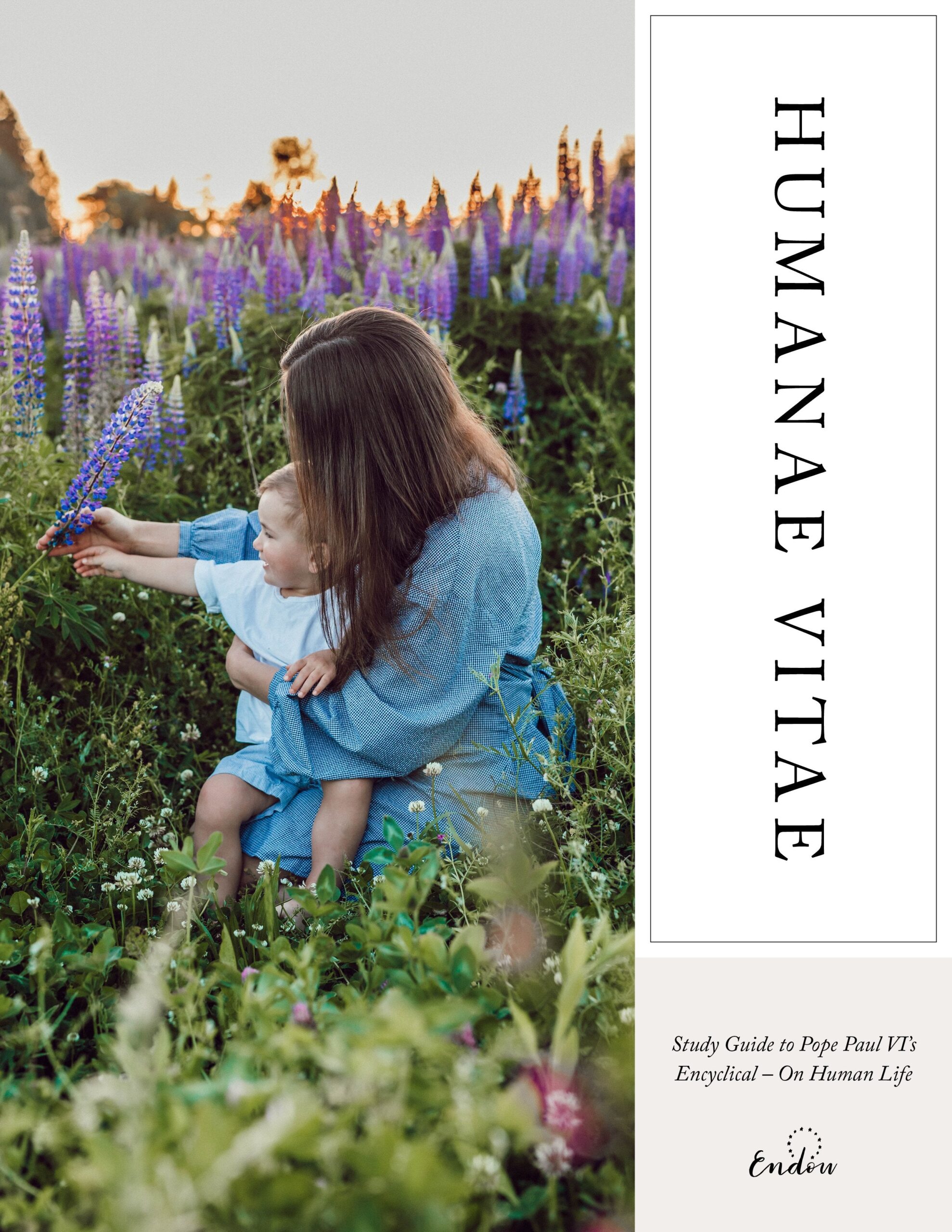 Humanae Vitae | Of Human Life PDF HUMANAE VITAE ON HUMAN LIFE